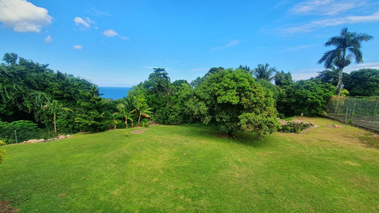 Villa Dianna - Entire Villa, Roof Terrace, Pool, Garden, Sea Views Near Dunn'S River Ocho Rios Exterior foto