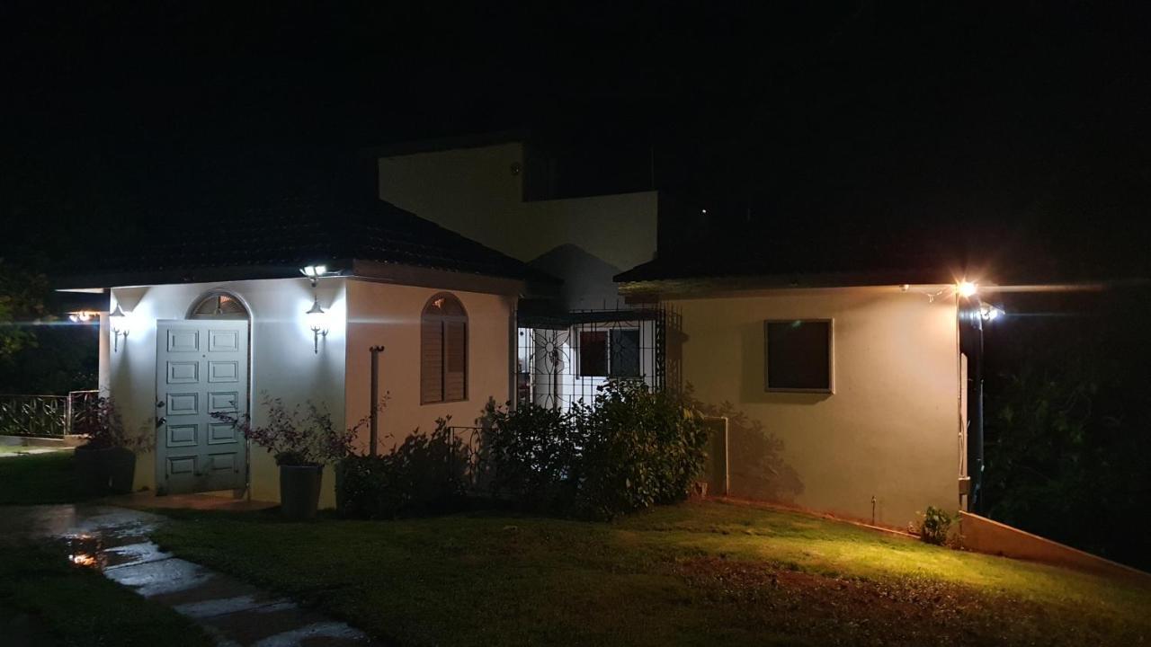 Villa Dianna - Entire Villa, Roof Terrace, Pool, Garden, Sea Views Near Dunn'S River Ocho Rios Exterior foto