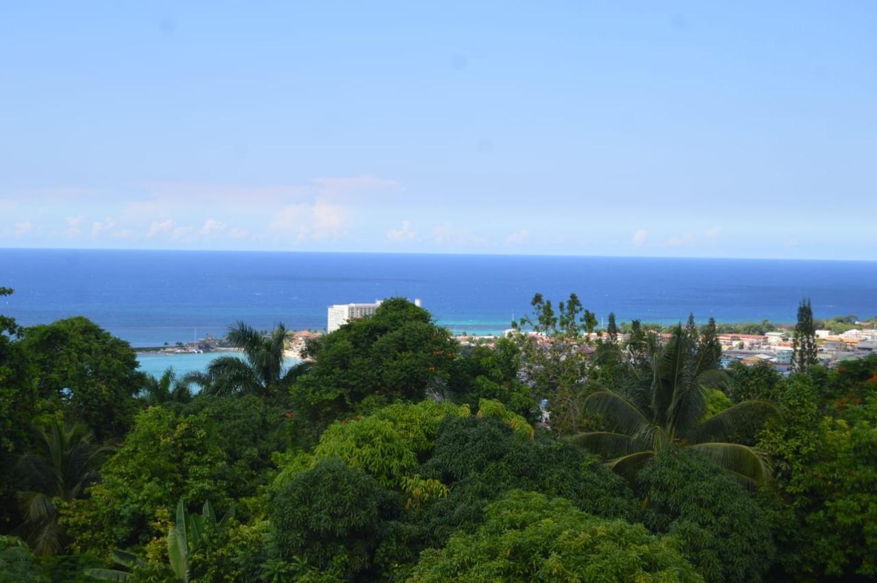 Villa Dianna - Entire Villa, Roof Terrace, Pool, Garden, Sea Views Near Dunn'S River Ocho Rios Exterior foto