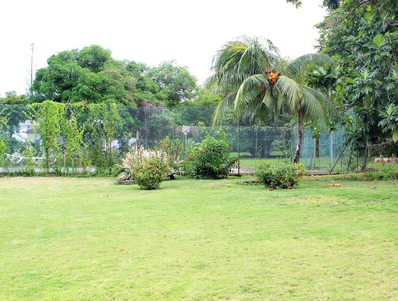Villa Dianna - Entire Villa, Roof Terrace, Pool, Garden, Sea Views Near Dunn'S River Ocho Rios Exterior foto